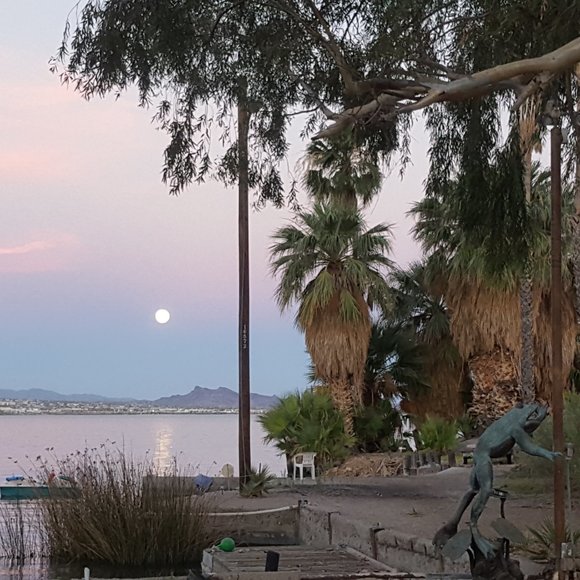 Meet your Posher, Sharon - Picture 6 of 8